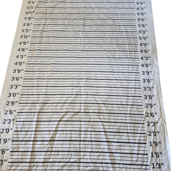 Jail Booking Backdrop - Picture 3 of 3